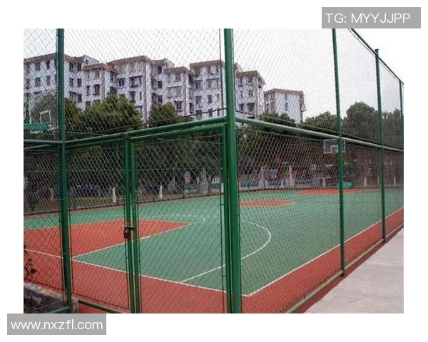 足球场边网的重要性及其对比赛安全和观众体验的影响分析